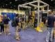 Exhibitions_1